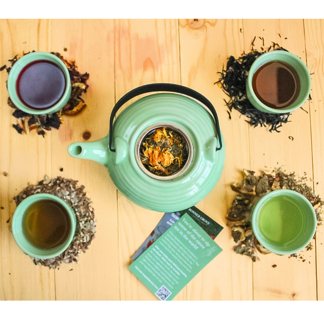 Loose Leaf Tea Kit for Beginners