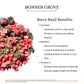 Berry Basil (W)