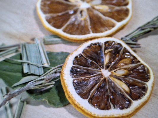 Citrus Bliss Simmer Pot