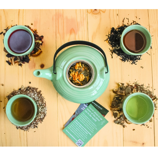 Loose Leaf Tea Kit for Beginners